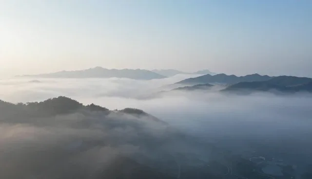 直播运营常见问题与处理方法解析